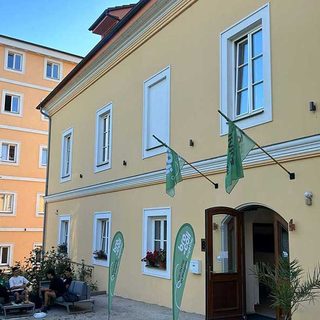 Palmovka
